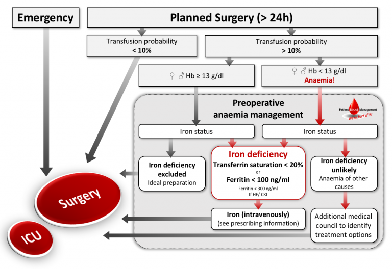 Medical Rationale – Patient Blood Management